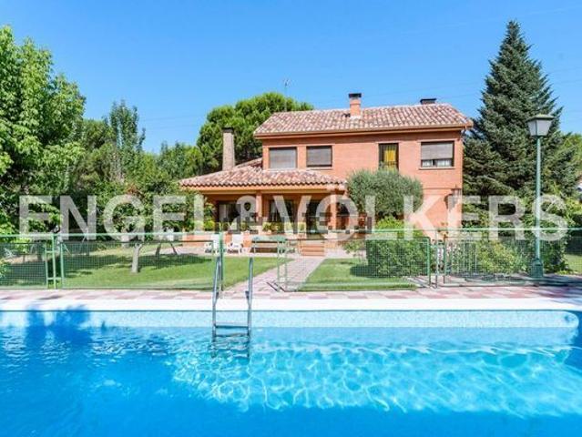Alquiler de casa o chalet independiente en Calle del Monte Guadalupe