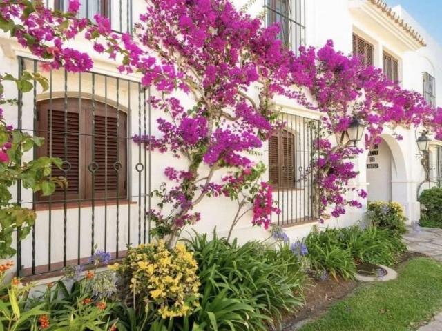Alquiler de casa o chalet independiente en Calle Sena
