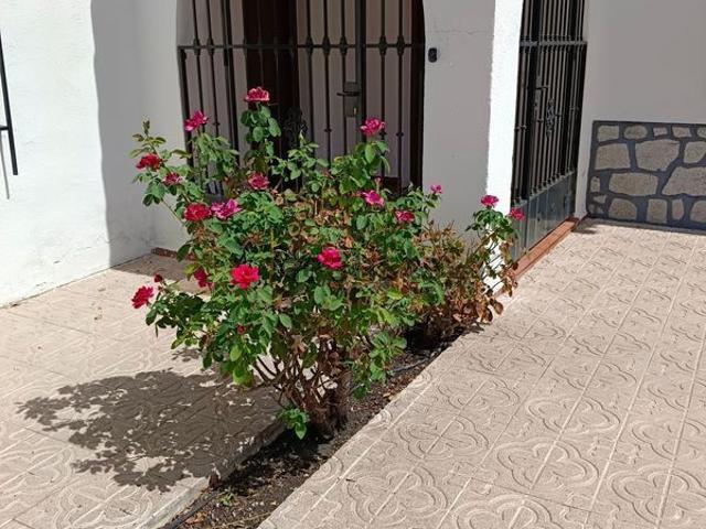 Alquiler de casa o chalet independiente en Calle Río Tajo, 2