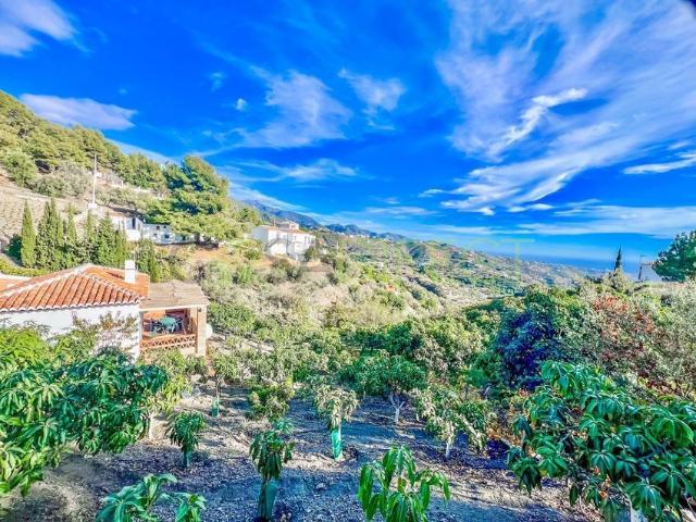 Alquiler de casa o chalet independiente en Camino del Barranco Fernández