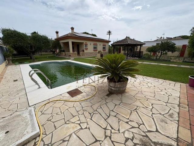 Alquiler de casa o chalet independiente en Cuatro Pinos El Carmen