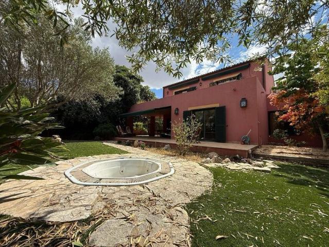 Alquiler de casa o chalet independiente en Pintor Benlliure