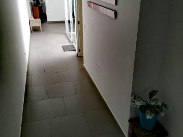 Alquiler de Casa de Playa en Playa Señoritas Amoblado Full