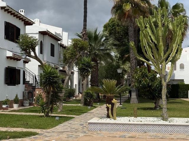 Alquiler de chalet adosado en Cabo Roig