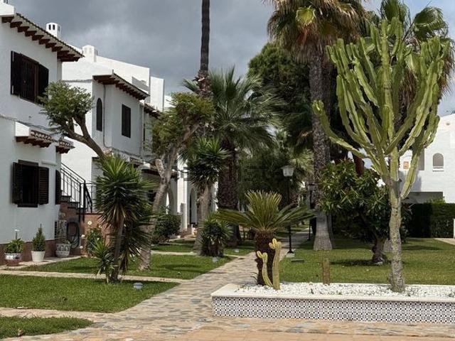 Alquiler de chalet adosado en Cabo Roig