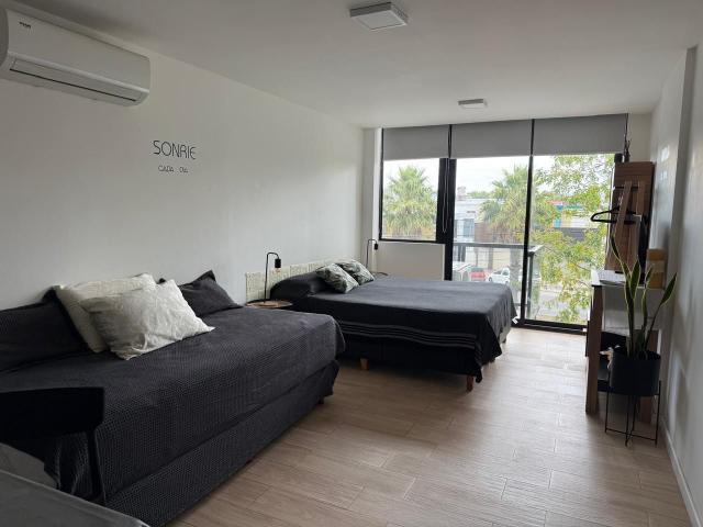 Alquiler de espectacular Departamento 1 ambiente en Mar del Plata Constitución