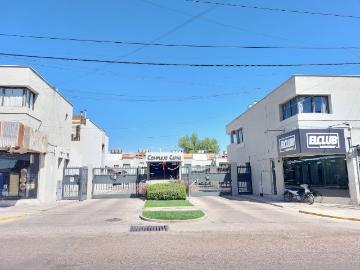 Alquiler de espectacular Departamento 3 ambientes en