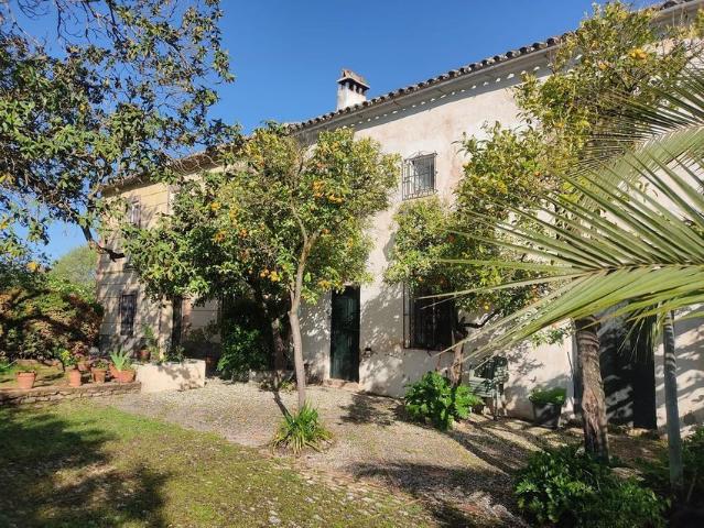 Alquiler de finca rústica en Calle Pista de la Hedionda s/n