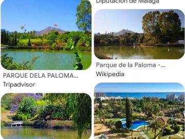 Apartamento en alquiler en Santangelo