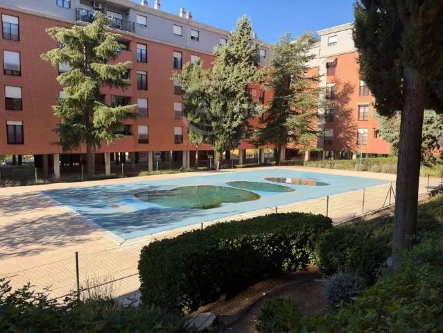 Alquiler de piso en Avenida de Francia