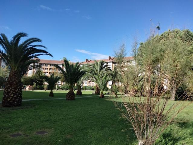 Alquiler de piso en barrio San Martín del Pino 23, 17