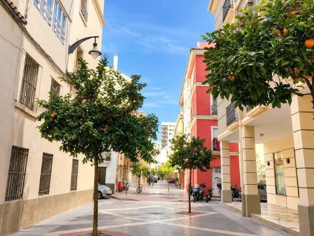 Alquiler de piso en Calle Ancha del Carmen
