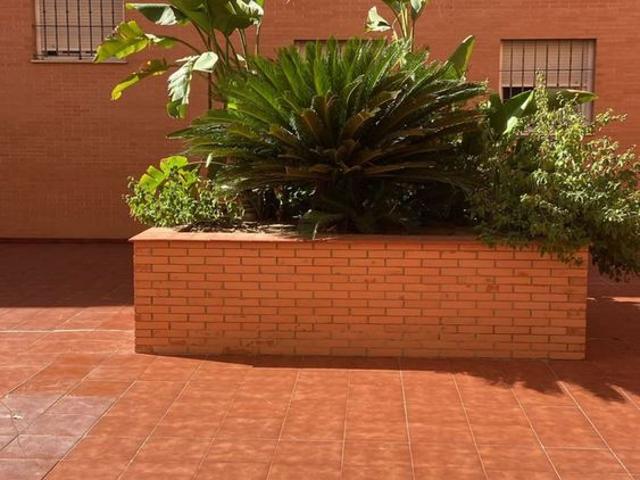 Alquiler de piso en Primero De Mayo, 163