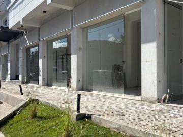 Alquiler Dpto Un Dormitorio Con Balcón. Rivadavia