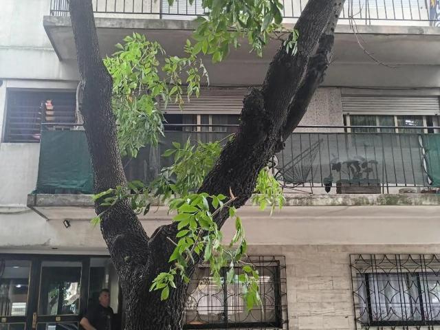 Alquiler en versalles, caba
