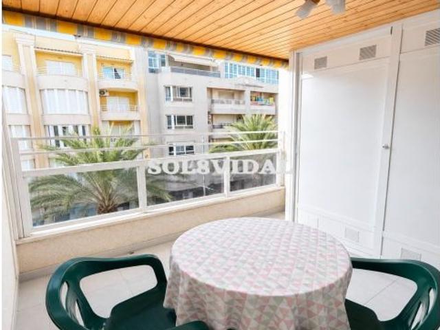 ? ALQUILER PARA PROFESORES | TORREVIEJA ?