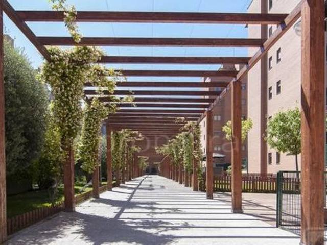 Alquiler piso de 3 dormitorios con terraza en Las Tablas