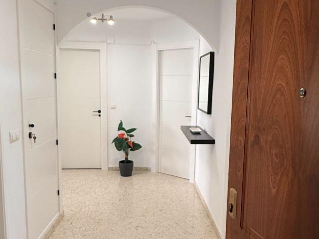 alquiler piso en ejido, málaga