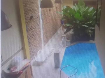 Iquitos, Provincia de Maynas, Loreto - Barbacoa