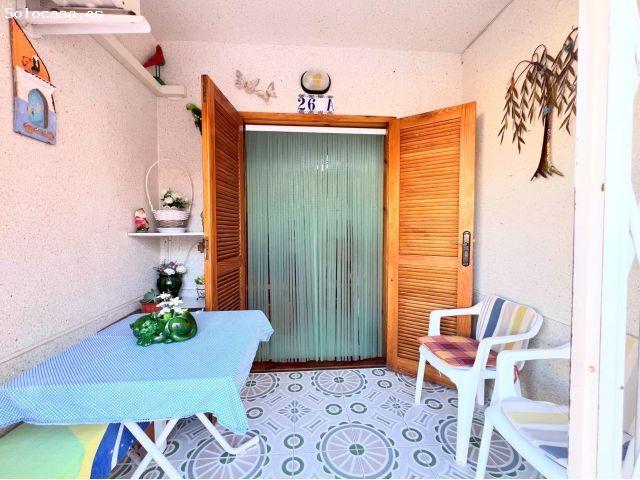 ALQUILO ESTUPENDO APARTAMENTO PLANTA BAJA, IDEAL PROFESORES, TORREVIEJA