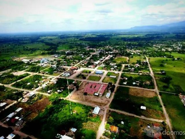 ALQUILO 30 HECTÁREAS DE TIERRAS AGRICOLAS