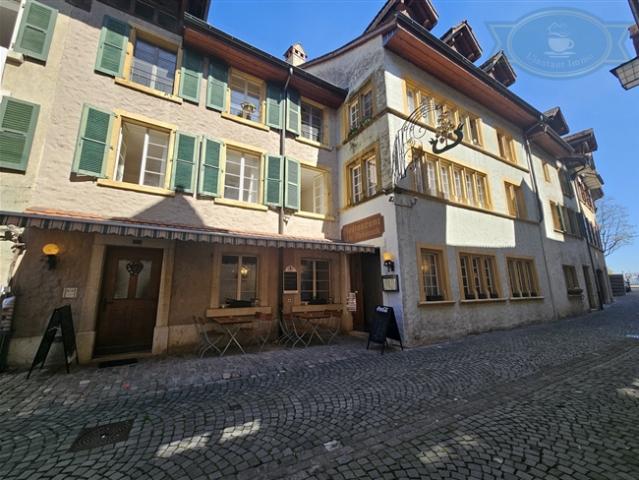 Renditeobjekt in unmittelbarer Nähe des Sees und der Weinberge