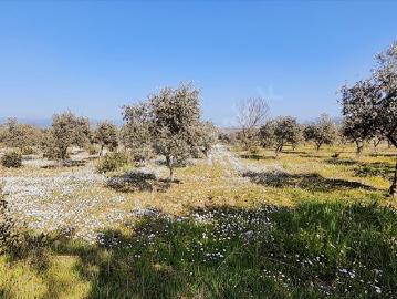 Torbalı, İzmir ili, Ege Bölgesi - Open space
