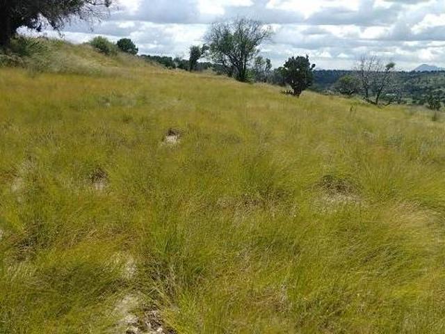 ALTZAYANCA TLAXCALA 20 HECTÁREAS