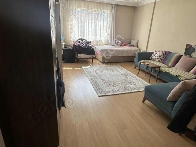 Altın Tapu Dan Harika Arakat