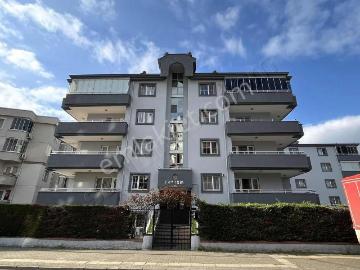 Altınşehir, Nilüfer, Bursa, Osmangazi, Bursa ili, Marmara Bölgesi