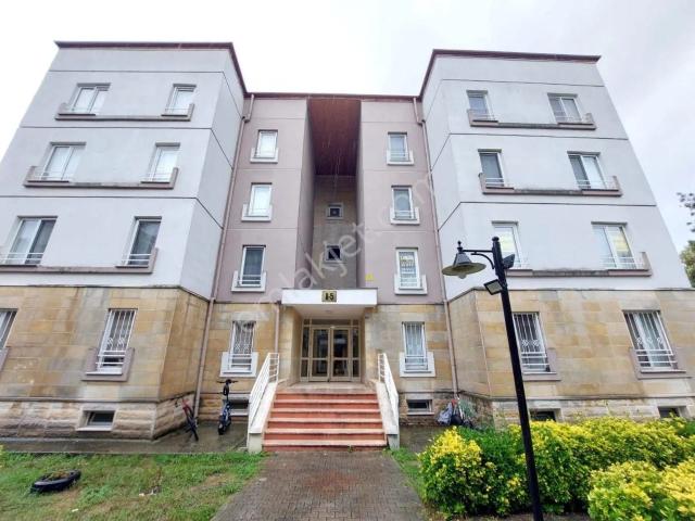 Altın Emlak’ Tan Kartepe’de Ara Kat 3+1 Eşyalı Kiralık Daire