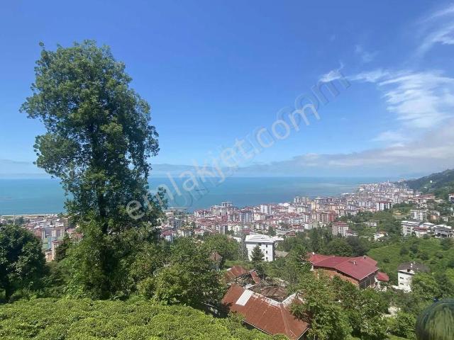 Altın Emlak Rize Panoramik Deniz Doğa Manzaralı Ultra Lüx Daire