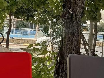 Altınkum Mah , Didim, Aydın ili, Ege Bölgesi