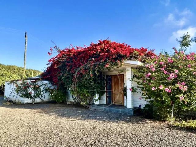 Altavista Excelente Casa En Arriendo