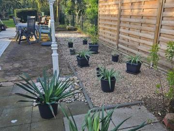 Altbau Charme trifft Gartenidylle