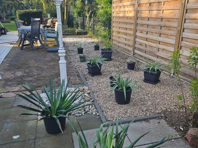 Altbau Charme trifft Gartenidylle