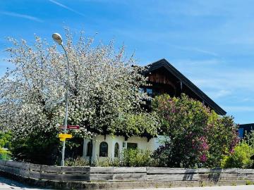 Altbau Charme trifft modernen Wohnkomfort