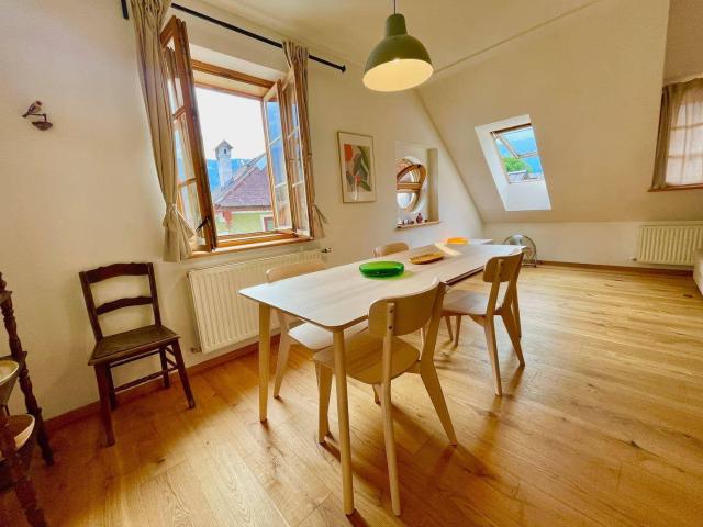 Altbau Wohnung in historischem Altbau zentral gelegen TOP Modernisiert