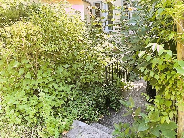 Altbau Wohnung mit Charme und tollem Garten