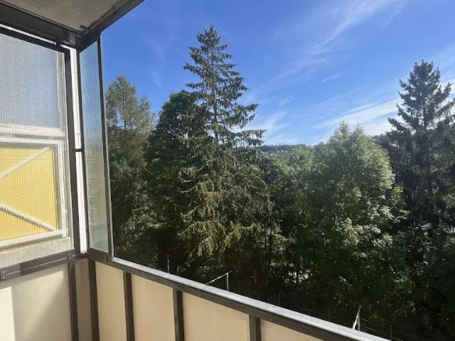 Altbaucharme mit Blick ins Grüne! 3 Raum Wohnung in ruhiger Wohnlage