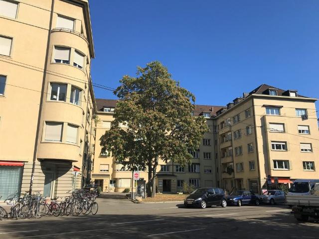 Altbaucharme trifft Rheinnähe Ihr stillvolles Zuhause in Basel