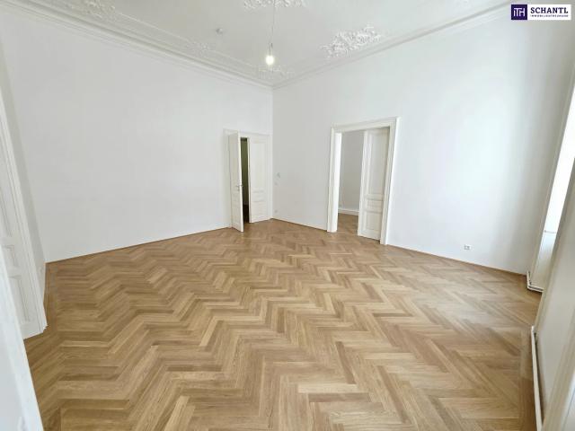 Altbauflair in 1090 Wien mit viel Platz! 5 Zimmer + Stuck + Flügeltüren + Traumhaftes Altbauhaus + Hohe Räume + Tolle Lage beim Liechtensteinpark + Beste Infrastruktur!