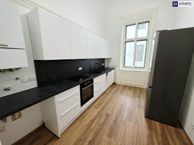 Altbauflair in 1090 Wien mit viel Platz! 5 Zimmer + Stuck + Flügeltüren + Traumhaftes Altbauhaus + Hohe Räume + Tolle Lage beim Liechtensteinpark + Beste Infrastruktur!