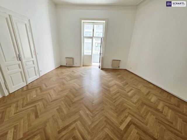 Altbauflair in 1090 Wien mit viel Platz! 5 Zimmer + Stuck + Flügeltüren + Traumhaftes Altbauhaus + Hohe Räume + Tolle Lage beim Liechtensteinpark + Beste Infrastruktur!