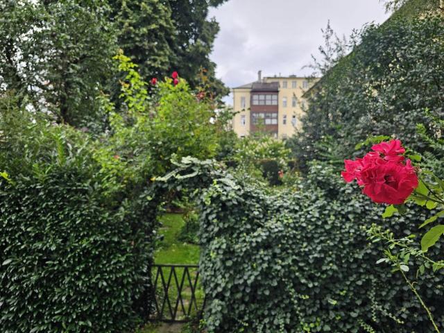 Altbauflair in zentraler Lage großzügige Wohnung in Wilten