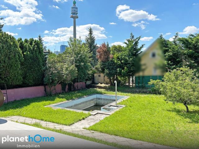 Alte Donau/Pachtgrund/Pool