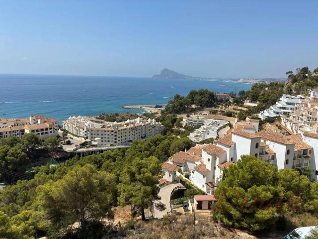 Altea