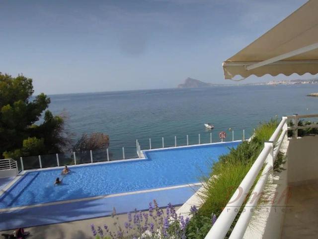 Altea