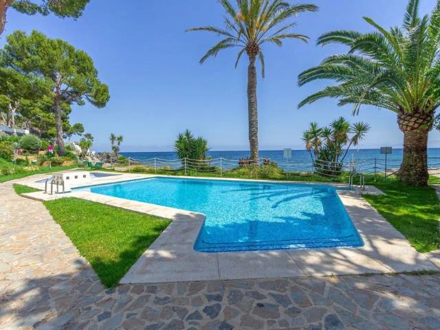 Altea