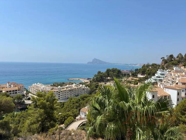 Altea